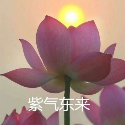 王者纣王手游下载