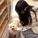 王者荣耀旧版本下载